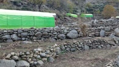 تصویر ۲۵۰ سبزخانه در نورستان به بهره‌برداری سپرده شد
