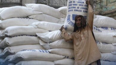 Photo of Pakistan’s exports to Afghanistan increase significantly in December