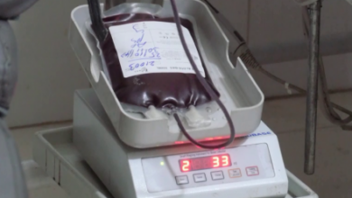 Photo of Blood Donations Save Lives of Thalassemia Patients in Nangarhar