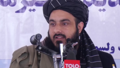 Photo of Parwan Governor: Interference in National Affairs Will Be Prevented