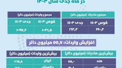 تصویر صادرات ۱۶۲ میلیون دلاری افغانستان در ماه جدی