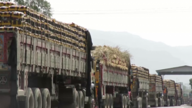 Photo of Over 4,000 Cargo Trucks Stranded on Both Sides of Torkham