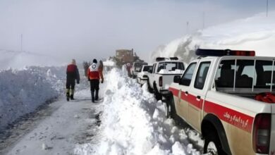 تصویر برف‌باری و سرما؛ ایران از نجات ۲۵۰ افغان در مرز مشترک خبر داد