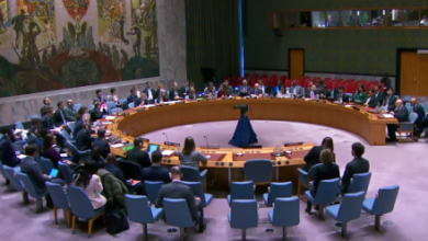 Photo of Security Council Discussion: Are the Raised Concerns Valid?