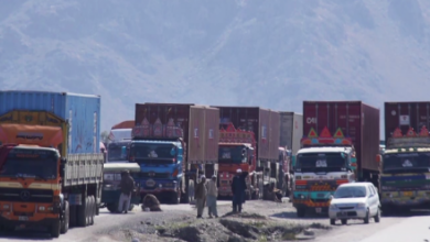 Photo of Kabul Fruit, Vegetable Prices Rise With Torkham Closure