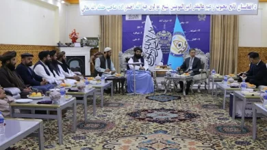 تصویر والی بلخ با سفیر چین در مورد گسترش روابط دوجانبه گفت‌وگو کرد