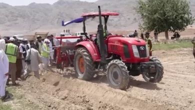 Photo of Oilseeds Crop Cultivation Project Launched in Kandahar