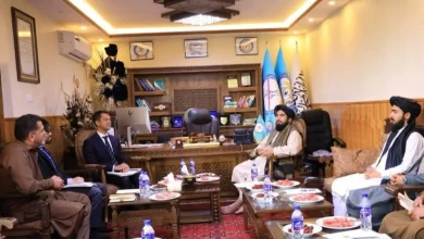 تصویر معین مبارزه با مواد مخدر: دهقانان افغان به کشت بدیل نیاز دارند تا از فقر نجات پیدا کنند