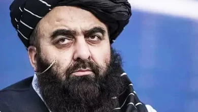 Photo of IEA working to transform Afghanistan from conflict zone into hub of cooperation: Muttaqi