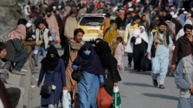 Photo of WFP: One-Third of Afghanistan’s Population Faces Hunger