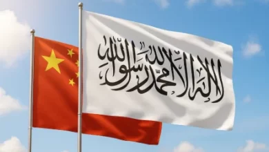 Photo of Afghanistan Urges China to Reduce Tariffs on Exported Goods