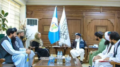 تصویر دیدار و گفت‌وگوی سرپرست وزارت اقتصاد با محقق مرکز بین‌المللی مطالعات منازعه بن