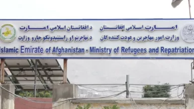 تصویر نزدیک به ۳۰۰ تن مهاجر افغان از زندان‌های پاکستان‌ آزاد گردید