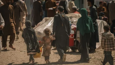 Photo of IOM: More than 128,000 Afghan refugees return from Pakistan to Afghanistan in less than 45 days