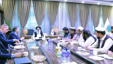 Photo of Public Health Minister engages Global Fund, UNDP to strengthen Afghanistan’s health sector