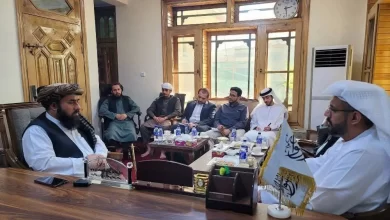 تصویر خلفان: تلاش می‌کنیم سرمایه‌گذاری های در بخش راه‌آهن افغانستان جذب کنیم