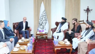 Photo of Islamic Emirate Officials Seek Enhanced Medical Support from MSF