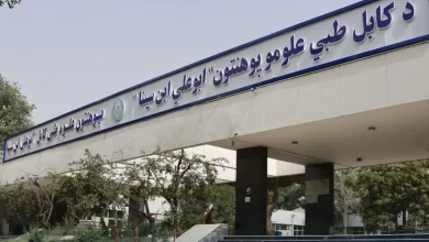 تصویر بیش از ۱۰۰ داکتر از پوهنتون علوم طبی کابل فارغ شدند 