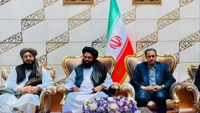 تصویر وزیر معادن و پترولیم با وزیر معادن، صنعت و تجارت ایران دیدار کرد 