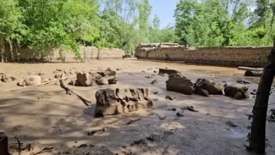 Photo of Floods Ravage Badakhshan: Homes and Hundreds of Acres Destroyed