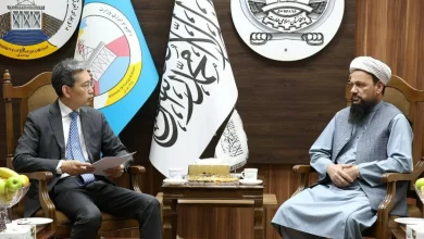 تصویر عبدالطیف منصور خواستار همکاری چین در تولید برق خورشیدی شد