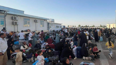 تصویر بازگشت گسترده مهاجران افغان از ایران و نظارت والی هرات بر وضعیت آنان