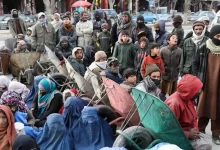 Photo of Solidarity Committee calls for urgent action as global aid to Afghanistan plummets