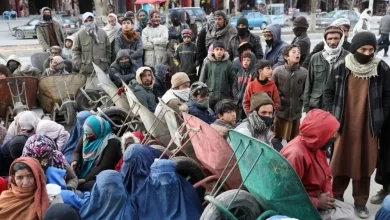 Photo of Solidarity Committee calls for urgent action as global aid to Afghanistan plummets