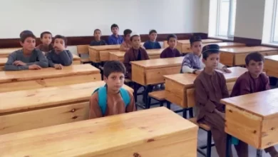 Photo of Ministry of Education: Over 1,100 Schools Built in Past 4 Years