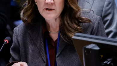 تصویر دوروتی شی: اطمنان حاصل شود که افغانستان به ثبات منطقه‌ای کمک می‌کند