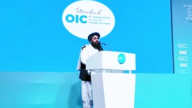 Photo of Amir Khan Muttaqi in Istanbul: Islamic World Faces Historic Test