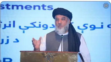 تصویر گردهمایی تشویق سرمایه‌گذاری در انرژی تجدیدپذیر؛ وزارت صنعت: افغانستان به دو هزار میگاوات برق نیاز دارد