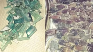 تصویر به ارزش بیش از ۴۲ میلیون افغانی سنگ‌های قیمتی نورستان به فروش رسید 