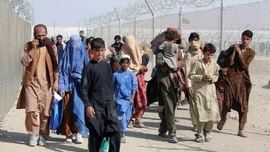 Photo of Over 1.2 million Afghans migrated to Iran and Pakistan in first five months of 2025