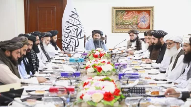 Photo of IEA approves new economic policy to boost growth and investment