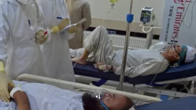 تصویر ۱۹ مورد ابتلا به کانگو در هرات ثبت شد