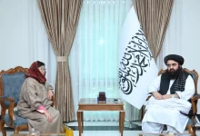 تصویر متقی خواستار دسترسی حکومت سرپرست برای حل مشکلات افغان‌ها در اروپا شد