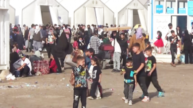 Photo of Deported Afghans Call on Government to Recover Their Property from Iran