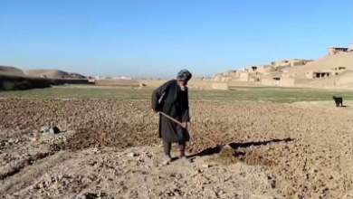 Photo of Afghan Agriculture Threatened by Climate Change; Farmers Seek Urgent Aid