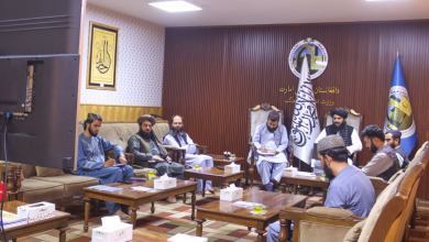 تصویر نشست آنلاین وزارت اطلاعات و فرهنگ با آتشه‌های فرهنگی برای بهبود امور 