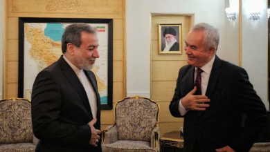 تصویر سید عباس عراقچی عازم دوشنبه شد 