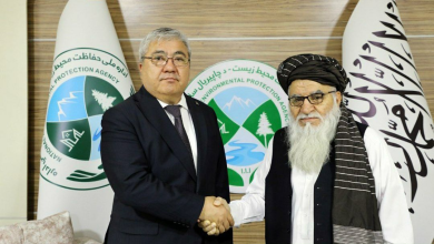 تصویر دیدار رییس اداره ملی حفاظت محیط زیست افغانستان با سفیر قرغیزستان: تأکید بر همکاری‌های دوجانبه 