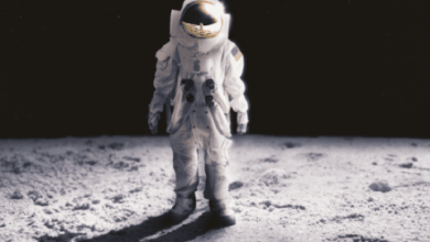 Photo of Moon Day Spotlight: Historic Leap or Cosmic Hoax?