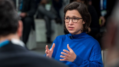 Photo of EU Lawmaker condemns Iran’s mass deportation of Afghans as illegal under international law