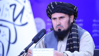 تصویر فطرت: سال گذشته ۹۶۴ هزار فعالیت عملیاتی انجام شد