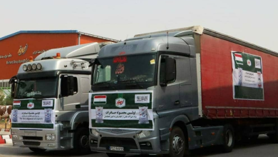 تصویر صادرات ۵۰ تُن دانه ماهی از بلخ به تاجیکستان برای نخستین بار 