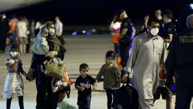 تصویر عفو بین‌الملل: اخراج پناهجویان تحت حفاظت موقت از آمریکا نقض حقوق بشر است 