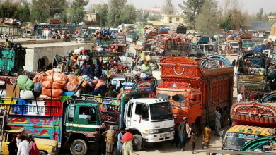 تصویر بازگشت بیش از ۵ هزار خانواده افغان به کشور با حمایت امارت اسلامی 