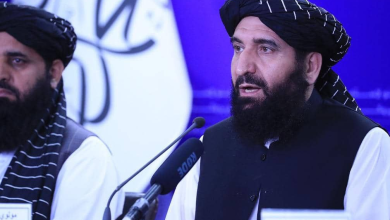 تصویر در سال گذشته بیش از یک میلیون جریب زمین به شرکت های امارتی انتقال یافته است