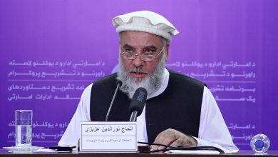 Photo of Over 50,000 business licenses issued to women entrepreneurs in one year, says Azizi